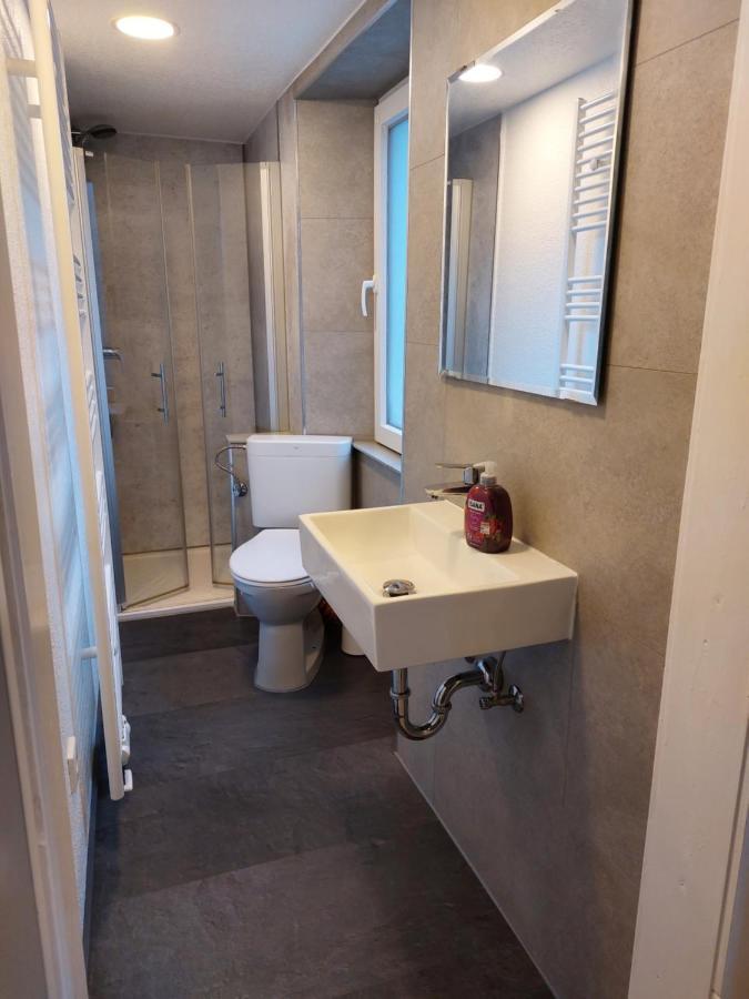 Ferienhaus Schwalbennest Daire Mettlach Dış mekan fotoğraf
